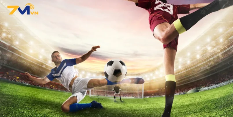 Theo dõi tỷ số trên halfdollar.co có an toàn không?